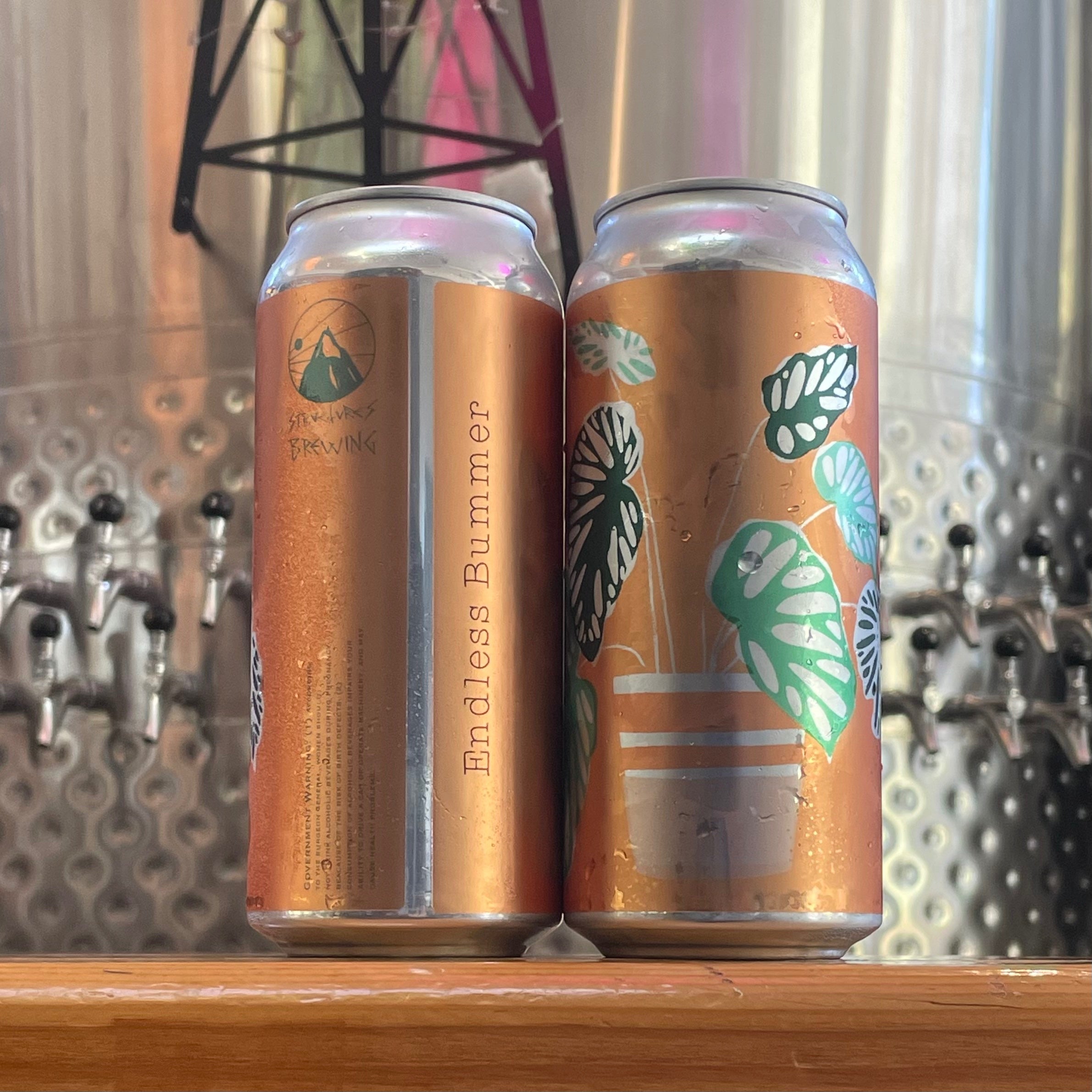 Structures Endless Bummer Pale Ale WA 16oz