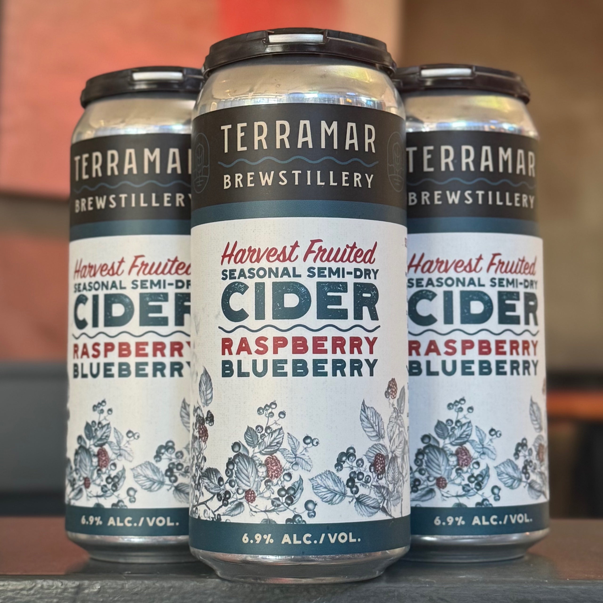 Terramar Harvest Fruited Raspberry Blueberry Cider - WA - 16oz C