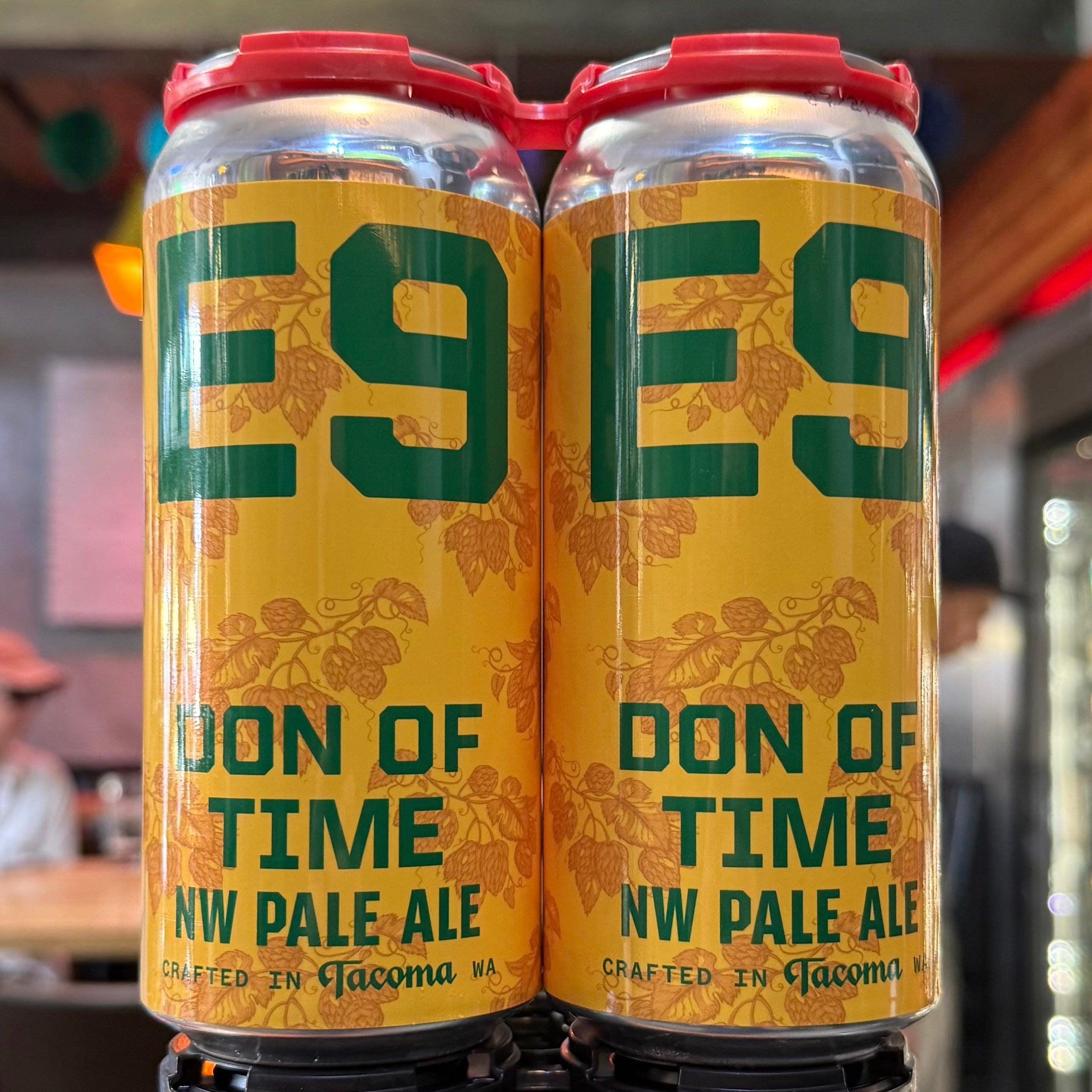 E9 Don of Time Pale Ale WA - 16oz C